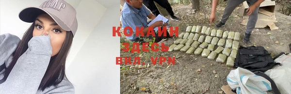 кокс Абдулино