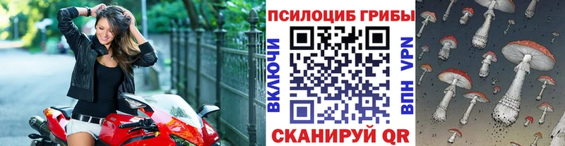 Галлюциногенные грибы прущие грибы Староминская